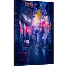 Tablou canvas - Tokyo, Asiatic, Japonia, Noapte, Lampi, Lampa, 60 x 90 cm - - Roveli