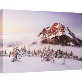 Tablou canvas - Varful Rozsutec, Munte, Slovacia, Iarna, Pomi, Summit, 80 x 120 cm - - Roveli
