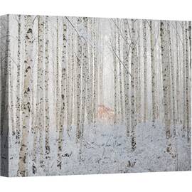 Tablou canvas - Alb, Mesteacan, Padure, Pomi, Copac, 50 x 70 cm - - Roveli