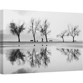 Tablou canvas - Alb-Negru, Parc, Banca, Pomi, Grafic, Silueta, 40 x 60 cm - - Roveli
