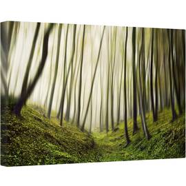 Tablou canvas - Alergare, Padure, Pomi, Verde, Ceata, Ireal, 80 x 120 cm - - Roveli
