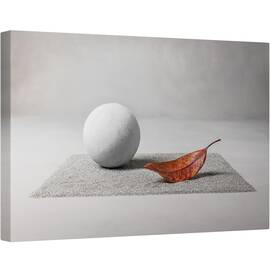 Tablou canvas - Aterizare Pe Luna, Gri, Frunza, Zen, Gradina Zen, Frunze, Toamna, 80 x 120 cm - - Roveli