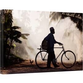 Tablou canvas - Barbat Ciclist, Natura Moarta, Fotografie, Strada, Barbat, Ciclu, 80 x 120 cm - - Roveli