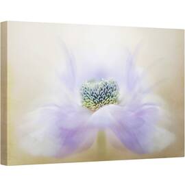 Tablou canvas - Briza, Anemona, Floare, Macro, Moale, 40 x 60 cm - - Roveli