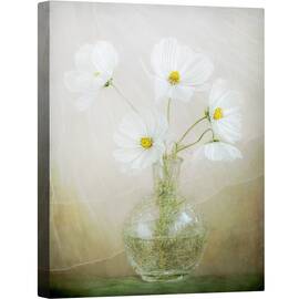 Tablou canvas - Briza Cosmosului, Cosmos, Alb, Natura Moarta, Vaza, Tabere, 60 x 80 cm - - Roveli