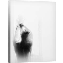 Tablou canvas - Dimineata, Contrast, Fragil, Transparent, 75 x 100 cm - - Roveli