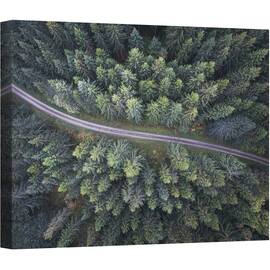 Tablou canvas - Drum Prin Padure, Aerial, Peisaj, Pomi, Copac, Padure, Verde, 50 x 70 cm - - Roveli