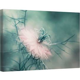 Tablou canvas - Fecioara, Floare, Macro, Roz, Moale, Gradina, 60 x 90 cm - - Roveli