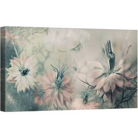 Tablou canvas - Fecioarele Ll, Macro, Prim-Plan, Flori, Nigella, Natura Moarta, 50 x 100 cm - - Roveli