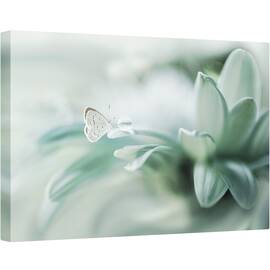 Tablou canvas - Floare, Culori Pastelate, Verde, Fluture, Cadere, Picatura, 60 x 90 cm - - Roveli