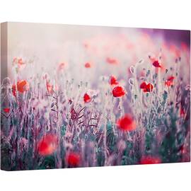 Tablou canvas - Flori de Maci, Maci, Lunca, Flori Salbatice, Prim-Plan, 40 x 60 cm - - Roveli