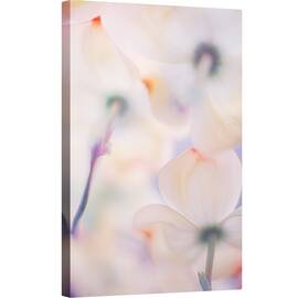 Tablou canvas - Flori, Floare, Moale, Macro, Flori, Pastel, 80 x 120 cm - - Roveli
