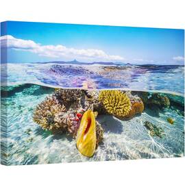 Tablou canvas - Laguna, Laguna, Coral, Peisaj Marin, Mare, Ocean, 80 x 120 cm - - Roveli