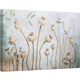 Tablou canvas - Papaver, Inca, Viata, Floare, Usor, Natura Moarta, 80 x 120 cm - - Roveli