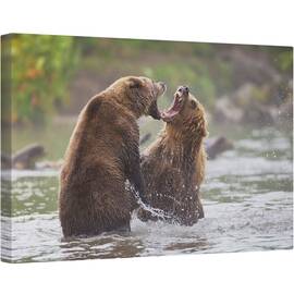 Tablou canvas - Razboiul Ursilor, Fauna, Salbatic, Natura, Animale, Ursi Bruni, Urs Brun, 40 x 60 cm - - Roveli