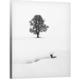 Tablou canvas - Solitaire, Copac, Solitar, Zapada, Minimalism, Curat, Cauzali, 40 x 50 cm - - Roveli
