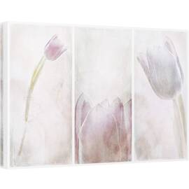 Tablou canvas - Triptic, Floare, Estompat, Lalea, Moale, Textura, 80 x 120 cm - - Roveli