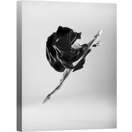 Tablou canvas - Balerina, Balet, Balerina, Dansator, Alb-Negru, Studio, 75 x 100 cm - - Roveli