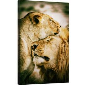 Tablou canvas - Ce Este Dragostea, Afectiune, Iubire, Imbratisare, Felina, Leu, 80 x 120 cm - - Roveli