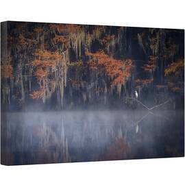 Tablou canvas - Dimineata Cetoasa, Caddo, Texas, Ceata, Pasare, Apa, Noi, 40 x 60 cm - - Roveli