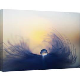 Tablou canvas - Dimineata, Macro, Cadere, Roua, Pana, Soare, Moale, 40 x 60 cm - - Roveli