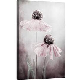 Tablou canvas - Duet, Heleniu, Sneezeweed, Roz, Floral, 60 x 90 cm - - Roveli