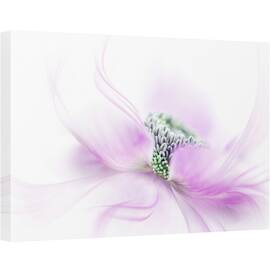 Tablou canvas - Flux, Floare, Roz, 40 x 60 cm - - Roveli