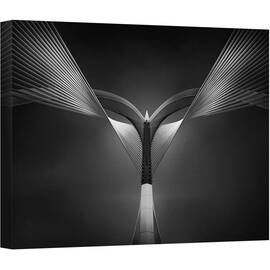 Tablou canvas - Inima de Otel, Arhitectura, Abstract, Reper, Malaysia, Urbana, Alb-Negru, 60 x 80 cm - - Roveli