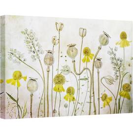 Tablou canvas - Maci si Heleniu, Flori de Maci, Heleniu, Seminte, Vara, Flori, Floral, 40 x 60 cm - - Roveli