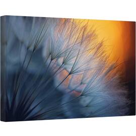 Tablou canvas - Pana, Pene, Apus, Portocaliu, Papadie, 40 x 60 cm - - Roveli