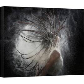 Tablou canvas - Par Cu Praf, Fata, Par, Blit, Rapid, Dansator, 50 x 70 cm - - Roveli