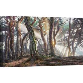 Tablou canvas - Pini, Raze, Padure, Pomi, Origini, Pin, 50 x 100 cm - - Roveli