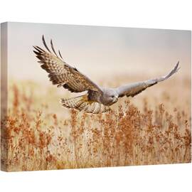 Tablou canvas - Soim, soarece, Vultur, Camp, Aripi, Zbor, Zbor, 60 x 90 cm - - Roveli