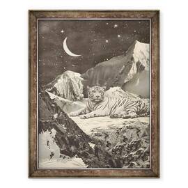 Tablou inramat - Florent Bodart - Tigru alb gigant in munti, 60 x 80 cm - - Roveli