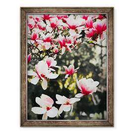 Tablou inramat - Helen White - Magnolia inflorita, 2018, 60 x 80 cm - - Roveli