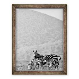 Tablou inramat - Eric Meyer - Zebra, Chyulus, 2018, 60 x 80 cm - - Roveli