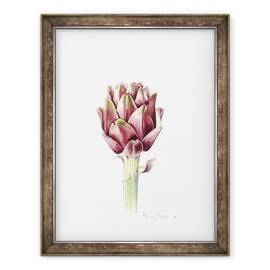 Tablou inramat - Alison Cooper - Anghinare Sardinian, 2016, 60 x 80 cm - - Roveli