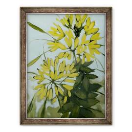 Tablou inramat - Megan Moore - Cleome galbene, 60 x 80 cm - - Roveli