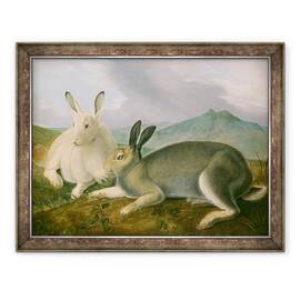 Tablou inramat - John James Audubon - Iepurele arctic, 60 x 80 cm - - Roveli