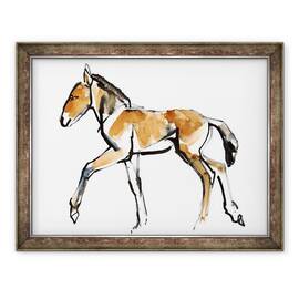 Tablou inramat - Mark Adlington - Colt Przewalski, 60 x 80 cm - - Roveli