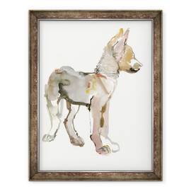 Tablou inramat - Mark Adlington - Waggle Arabian Wolf Pup, 2011, 60 x 80 cm - - Roveli