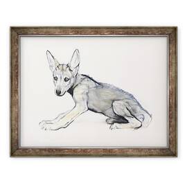 Tablou inramat - Mark Adlington - Adolescent Arabian Lup, 60 x 80 cm - - Roveli