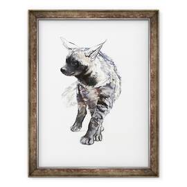 Tablou inramat - Mark Adlington - Dungi Hiaena Pup, 2010, 60 x 80 cm - - Roveli