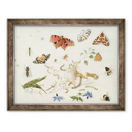 Tablou inramat - Ferdinand van Kessel - Studiul insectelor si florilor, 70 x 90 cm - - Roveli