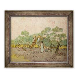 Tablou inramat - Vincent van Gogh - Culegatorii de masline, Saint-Remy, 50 x 60 cm - - Roveli