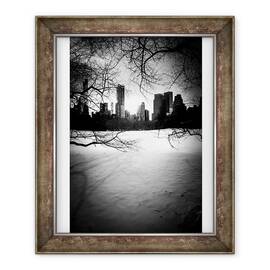 Tablou inramat - Guilherme Pontes - Central Park City & Arbori Nº1, 50 x 60 cm - - Roveli