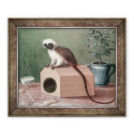 Tablou inramat - Gustavus Hesselius - Maimuta preferata a lui Carl Linnaeus 1707-78, 50 x 60 cm - - Roveli