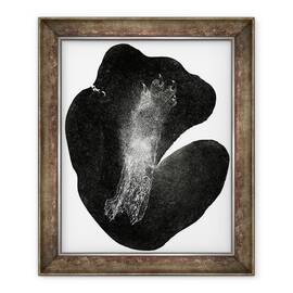 Tablou inramat - Bella Larsson - Clawfoot, 50 x 60 cm - - Roveli