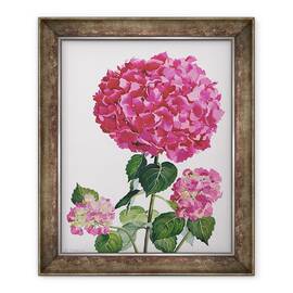 Tablou inramat - Christopher Ryland - Hydrangea, 50 x 60 cm - - Roveli