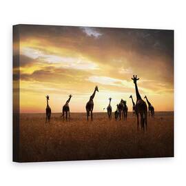 Tablou canvas - Familie, Girafa, Girafe, Apus De Soare, Peisaj, Salbatic, 60 x 80 cm - - Roveli